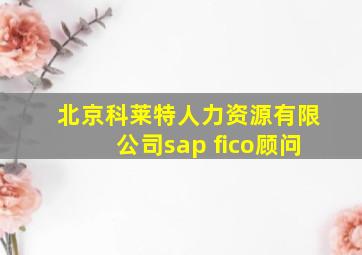 北京科莱特人力资源有限公司sap fico顾问